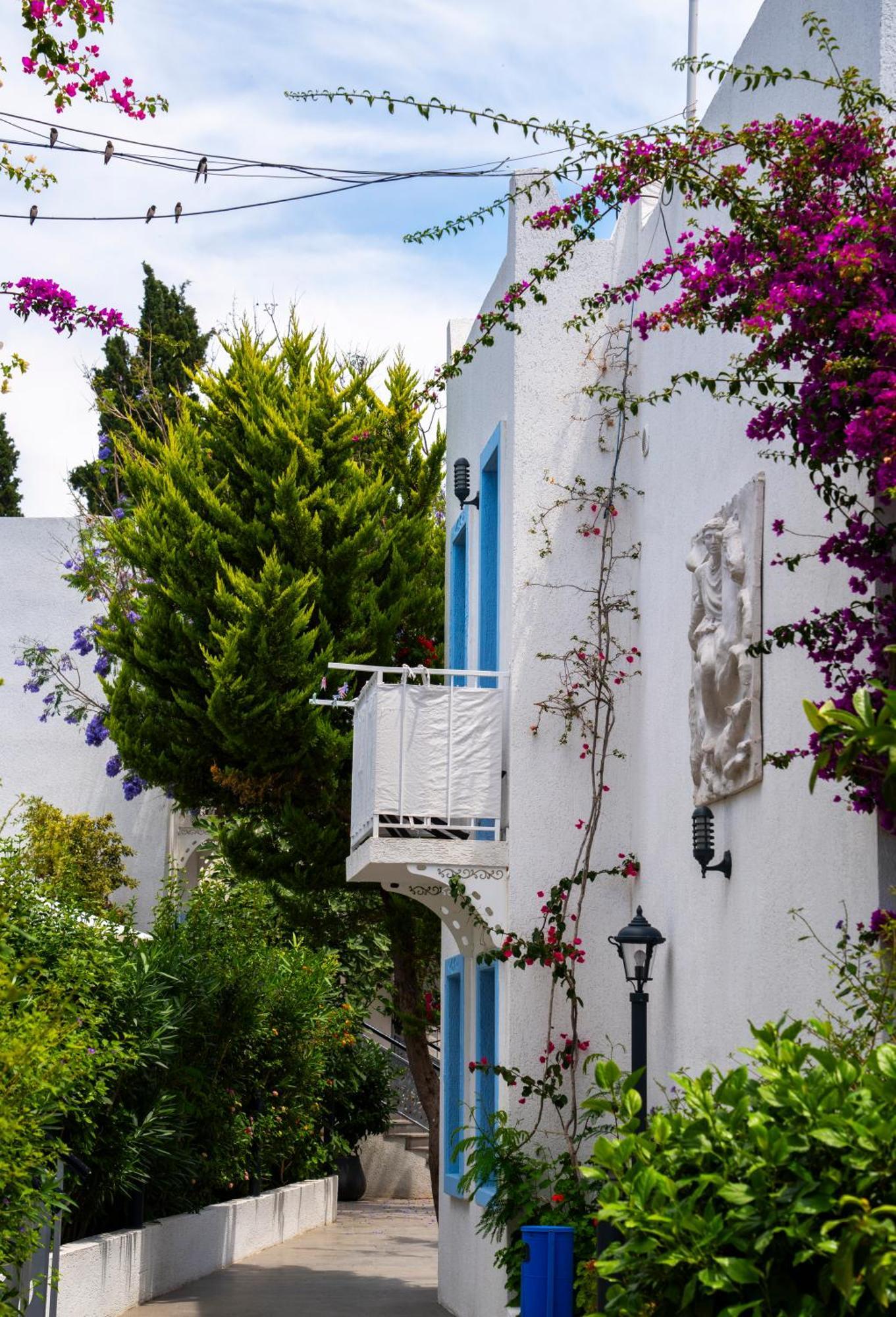 Manuela Boutique Hotel Bitez Εξωτερικό φωτογραφία