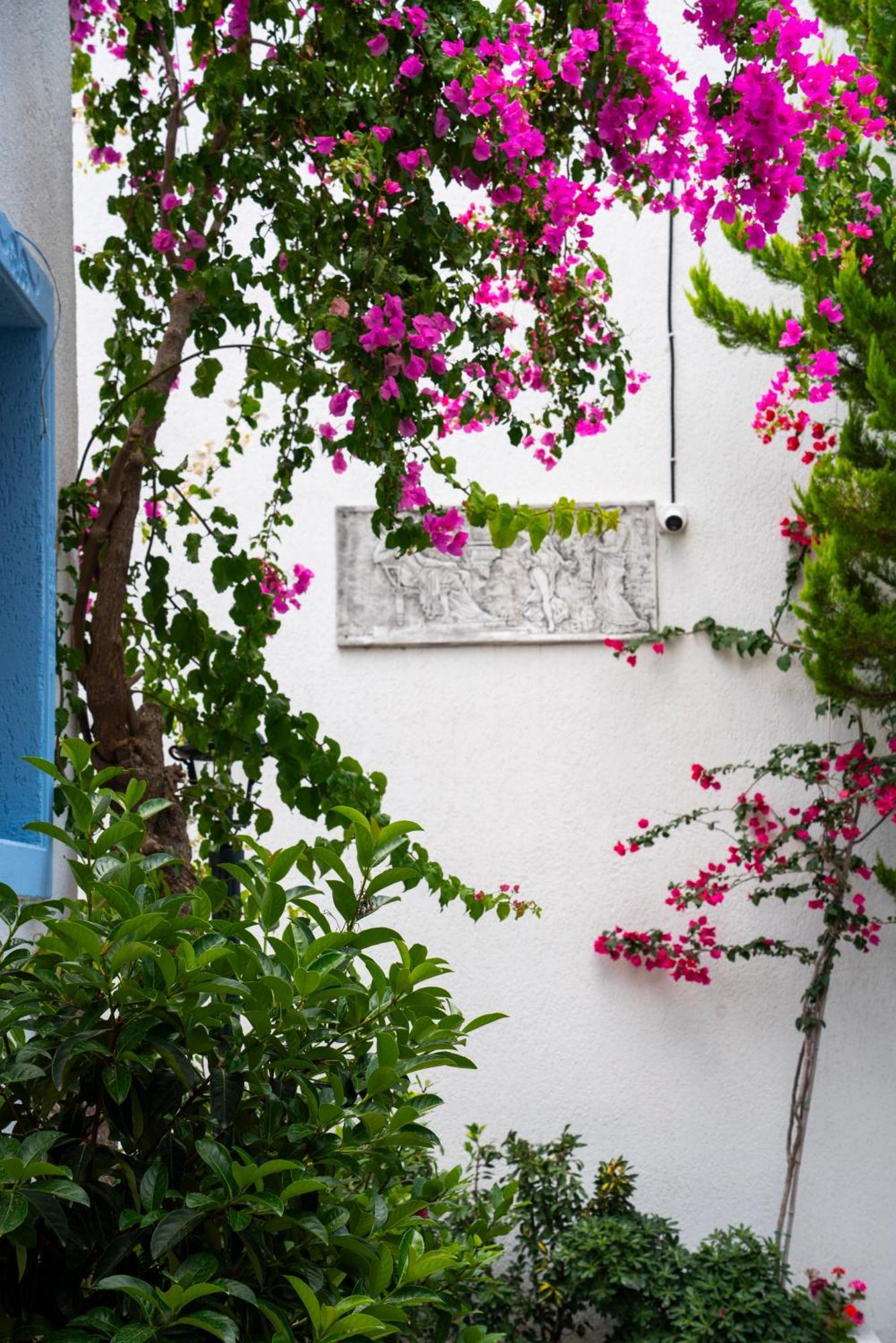 Manuela Boutique Hotel Bitez Εξωτερικό φωτογραφία