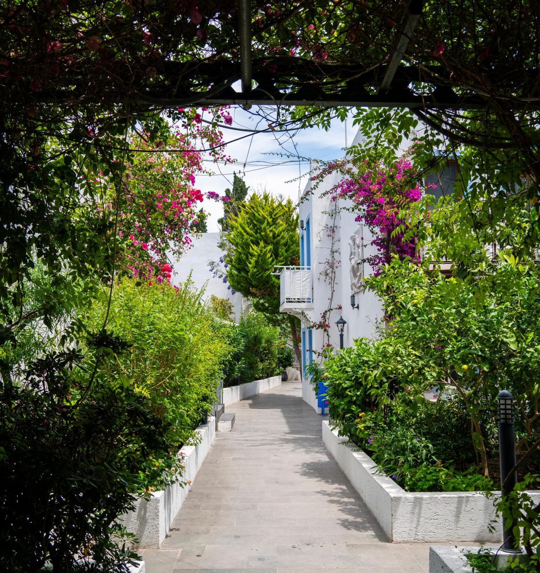 Manuela Boutique Hotel Bitez Εξωτερικό φωτογραφία