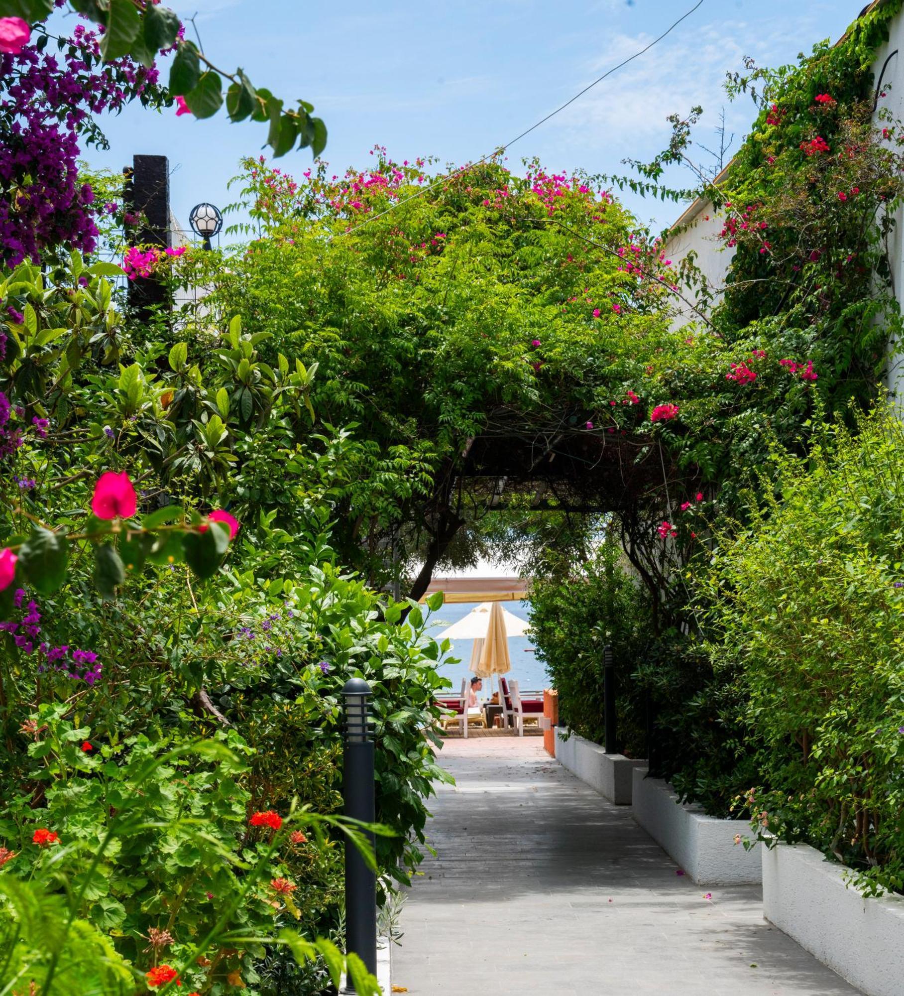 Manuela Boutique Hotel Bitez Εξωτερικό φωτογραφία